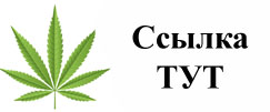 Купить наркотики в Кировграде